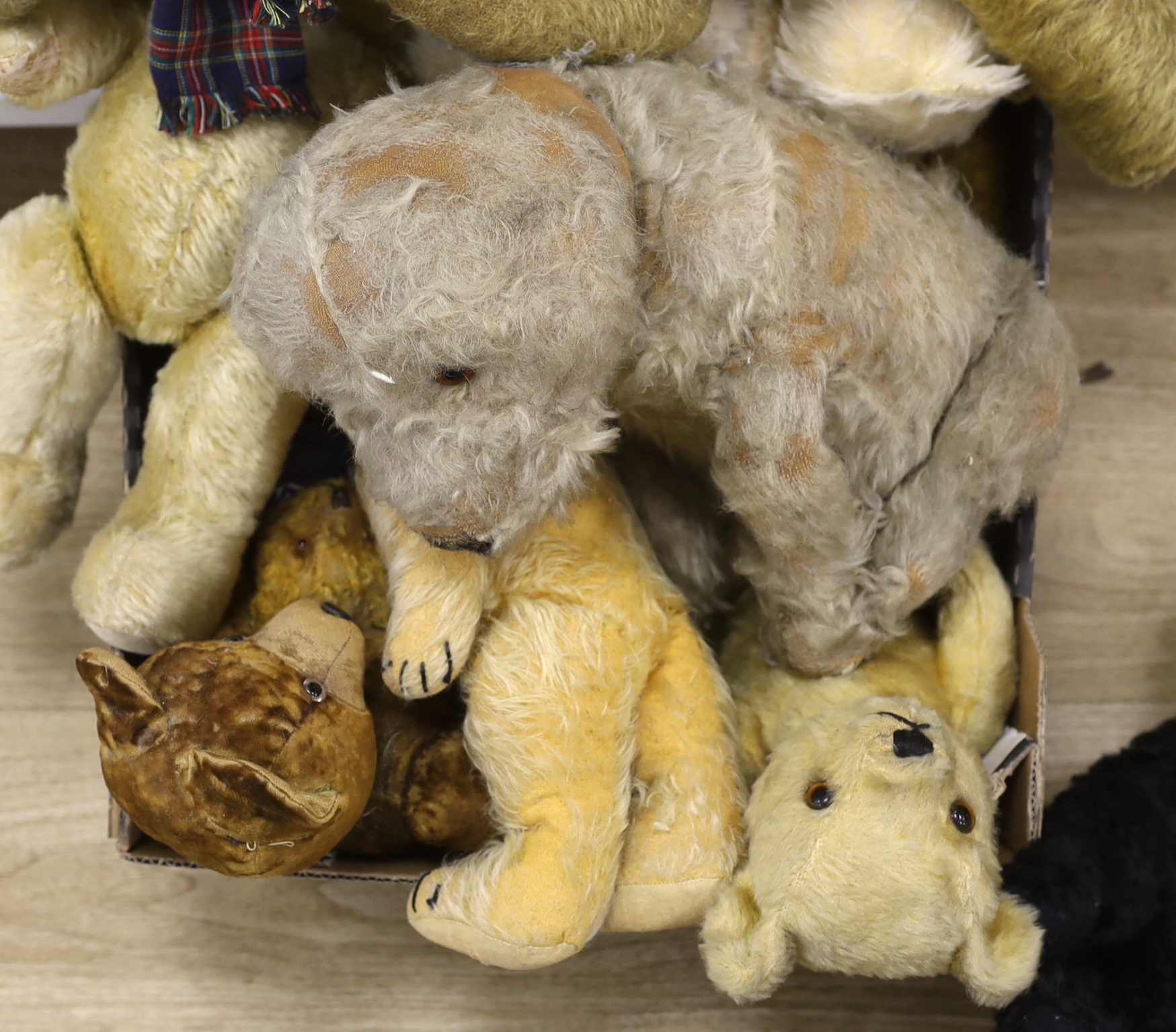 A collection of vintage and later teddy bears, some with articulated limbs, including a modern Steiff example with growler together with a seated dog, the largest 60cm in length